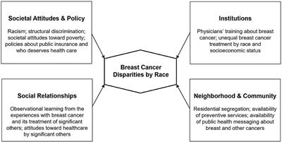 A Critical Theoretical Approach to Cancer Disparities: Breast Cancer and the Social Determinants of Health